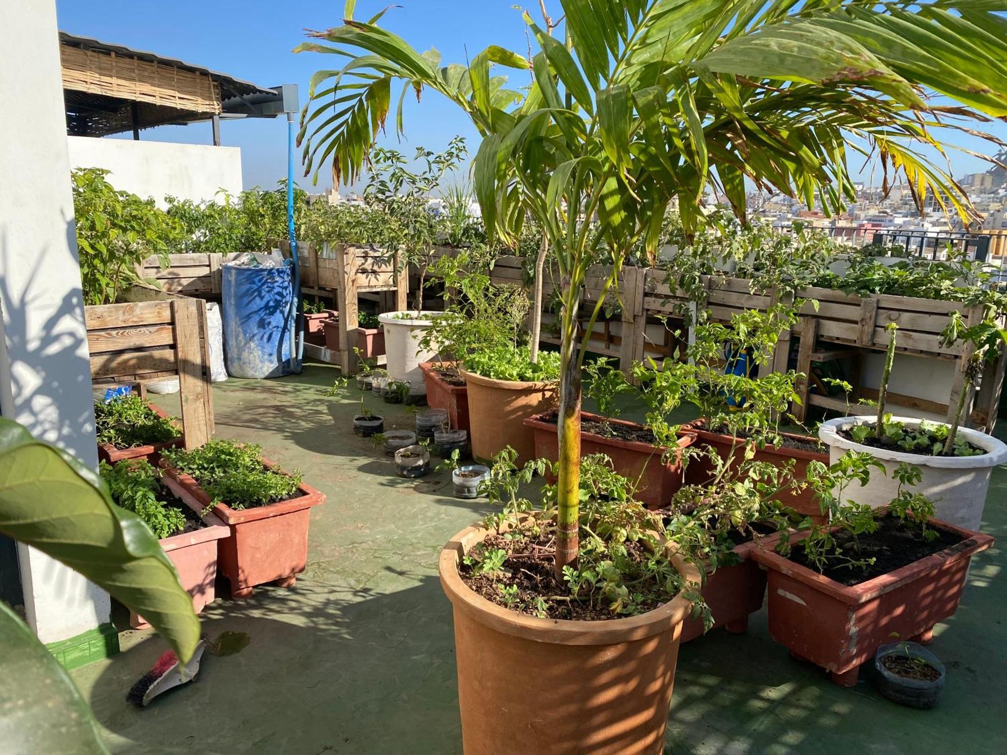 Chambres D'Hotes Dakar Eksteriør billede